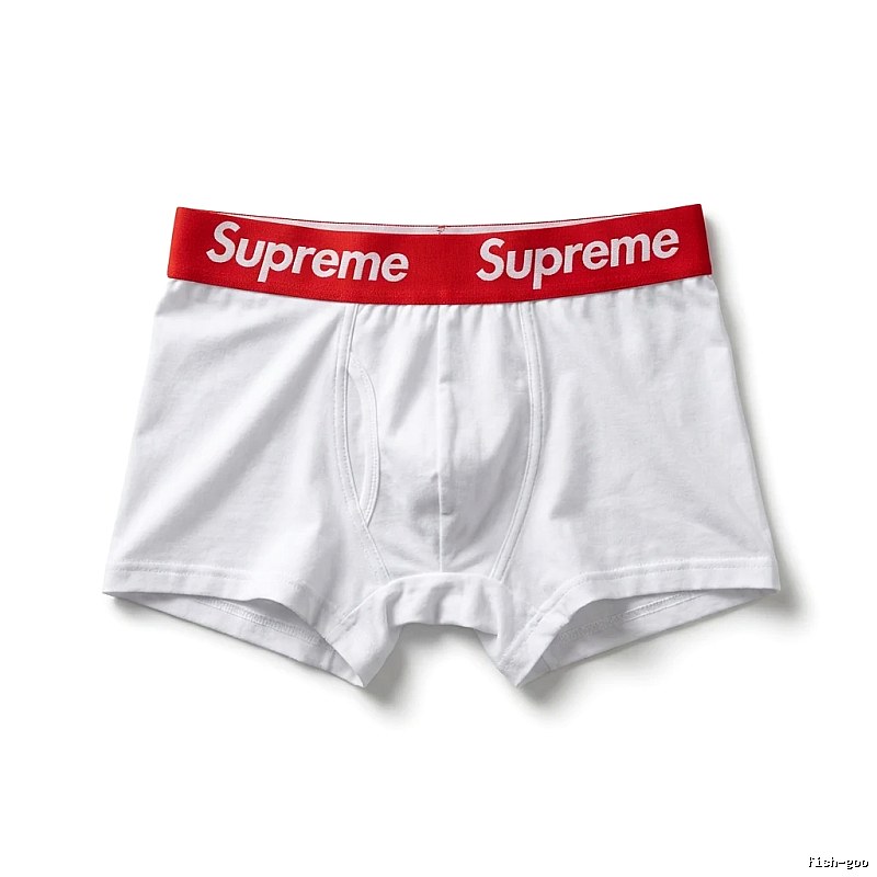 Supreme minimalist style white underwear